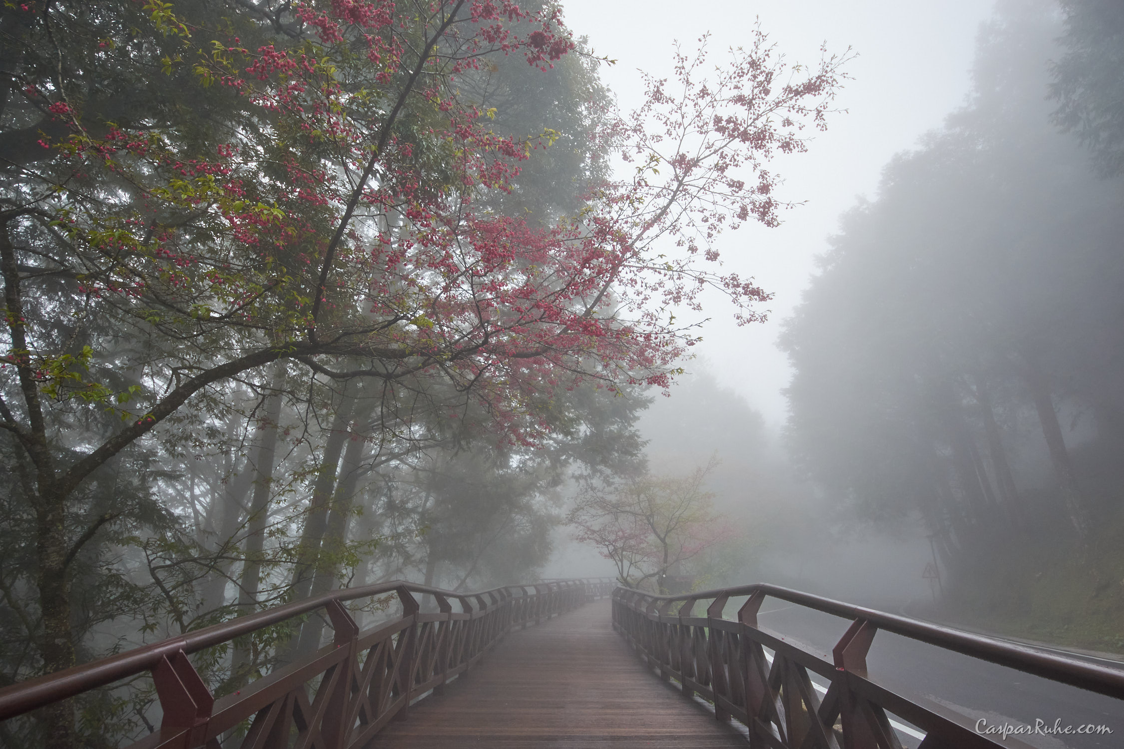 Alishan